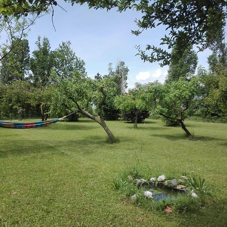 La Vie En Rose Bed & Breakfast Buia Exterior foto