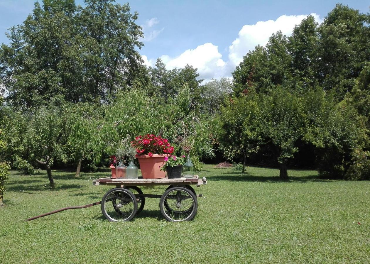 La Vie En Rose Bed & Breakfast Buia Exterior foto